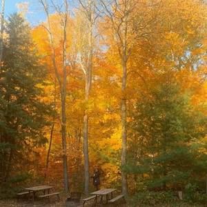 Meet your Posher, Snehal